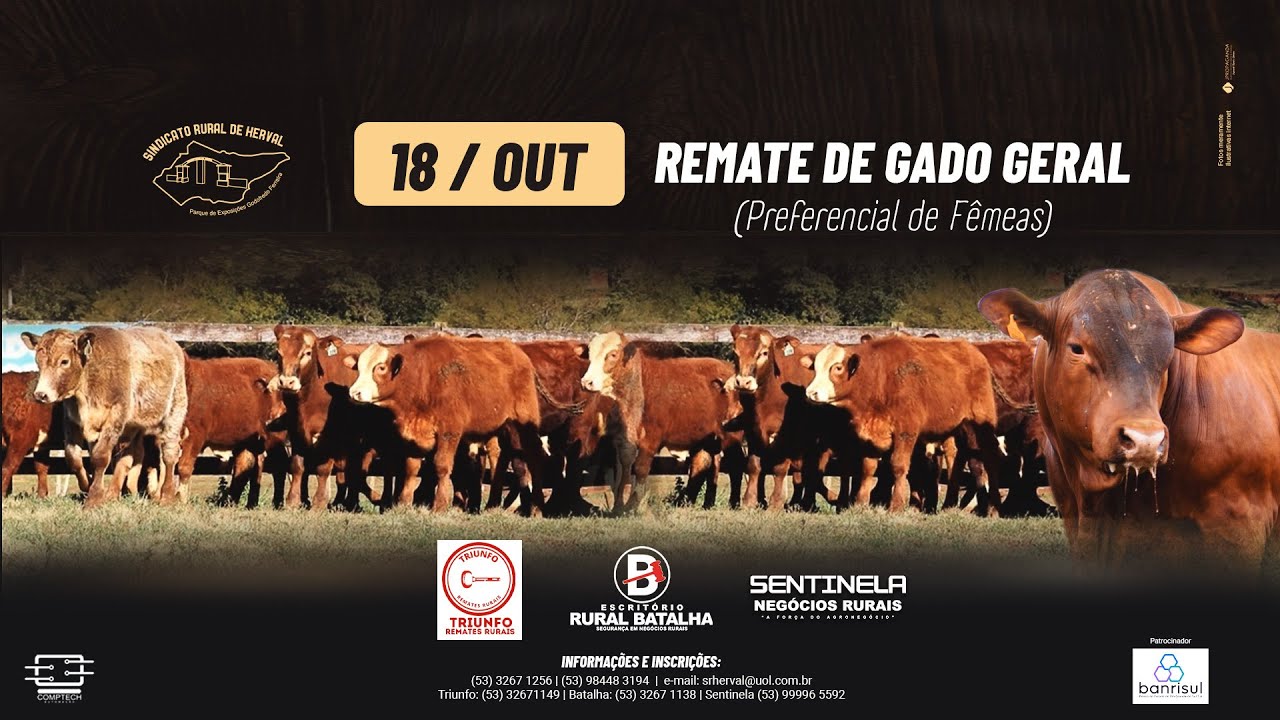 REMATE DE GADO GERAL - PREFERENCIAL DE FEM&Ecirc;AS - SINDICATO RURAL DE HERVAL - 18/10/2025 - 17H