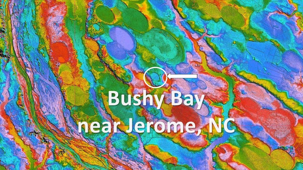 Bushy Carolina Bay with a catchy musical ending