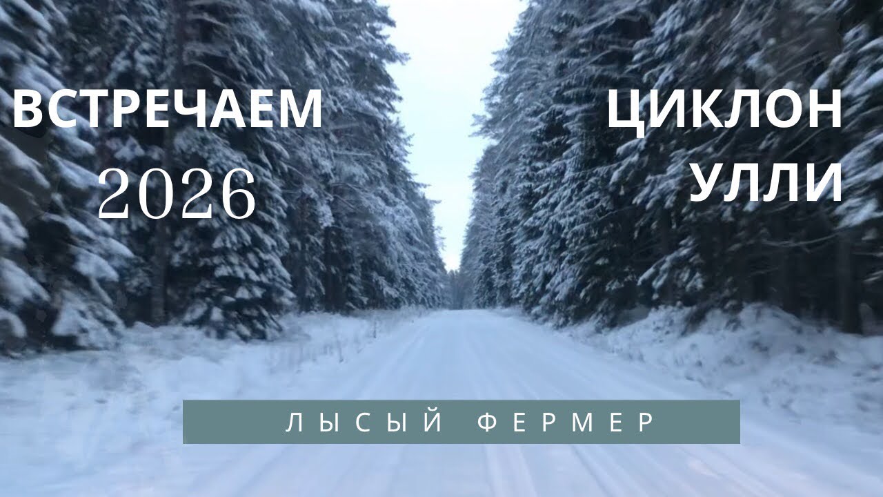 Ремонт комнаты. Новый Год 🎄 Готовим новые блюда. Животные на ферме.