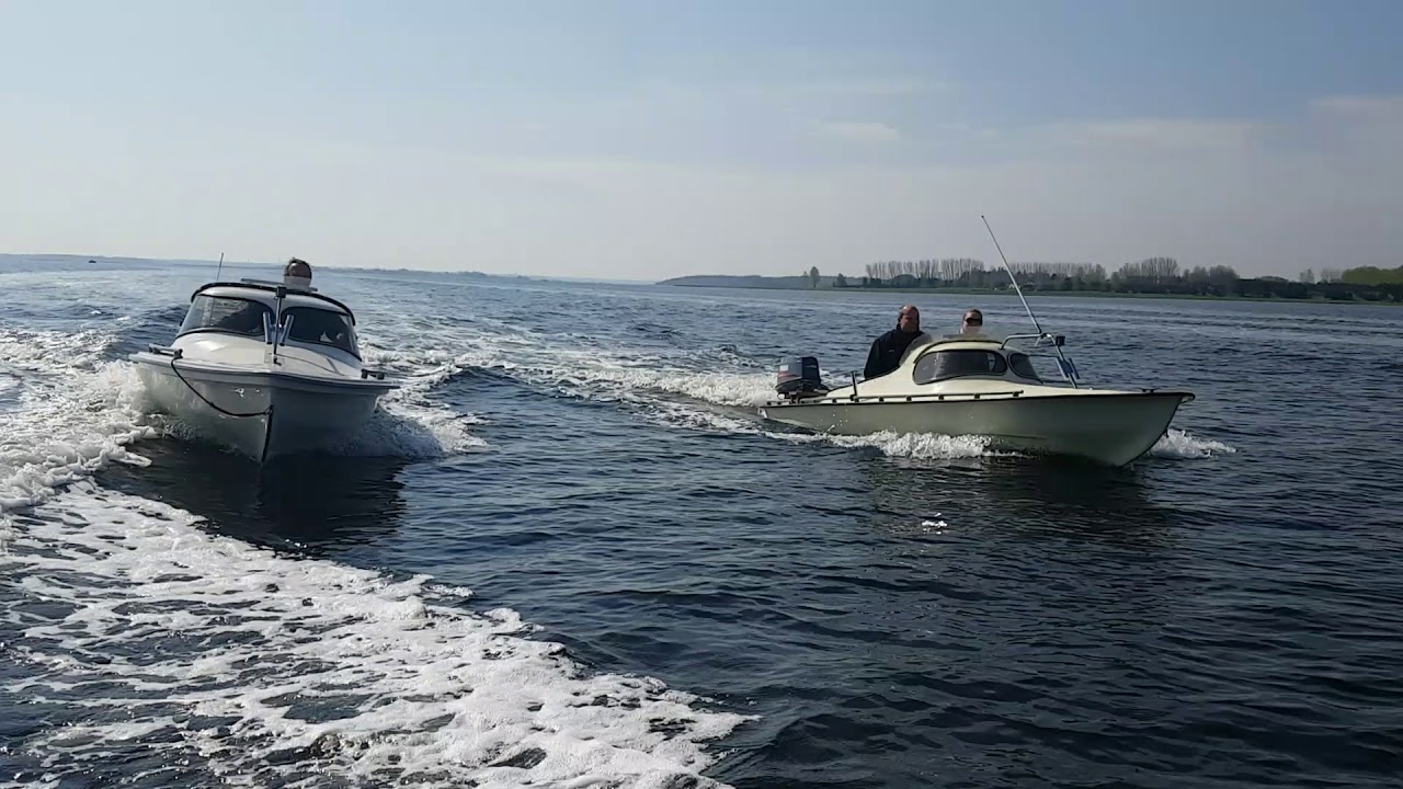 Mopa både i fri leg på Roskilde Fjord