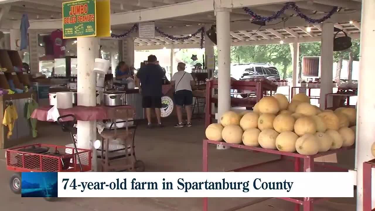 Strawberry Hill USA roadside market