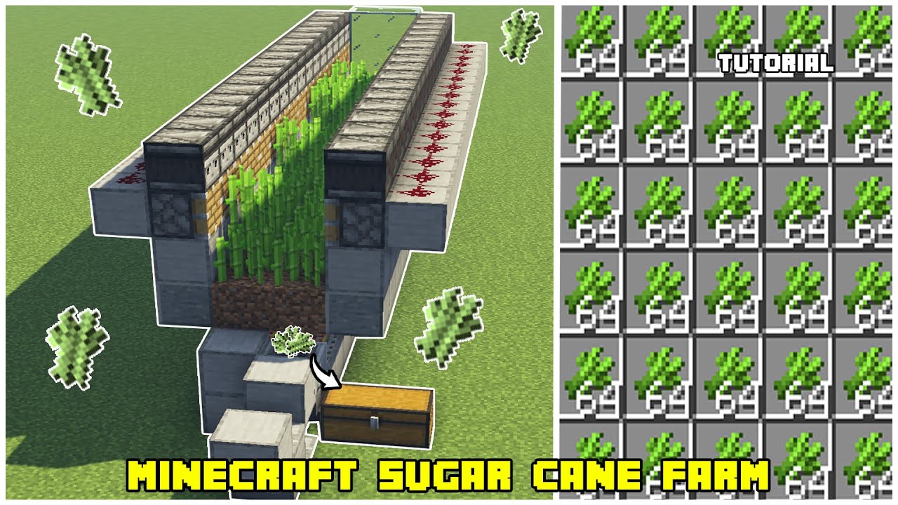 SINIRSIZ ŞEKER KAMIŞI !! Şeker Kamışı ( Sugar Cane Farm ) Farmı Nasıl Yapılır? l Minecraft Sistemler
