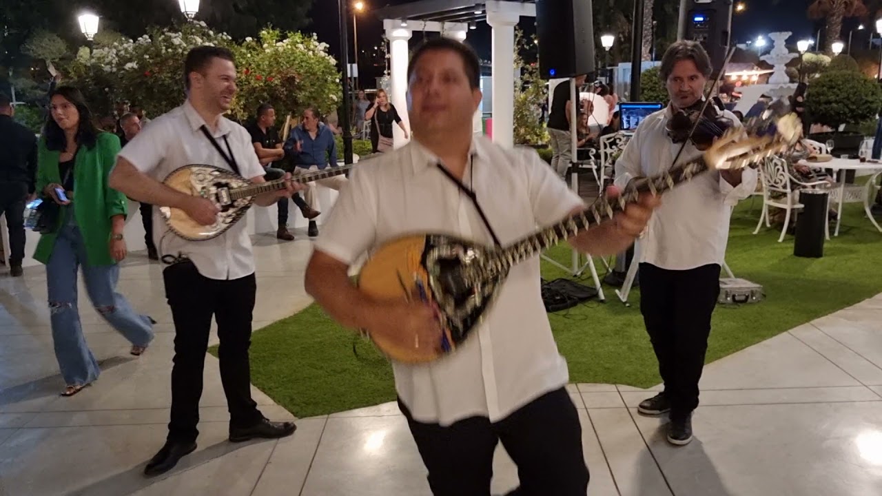 בוזוקי לייב מנגנים 