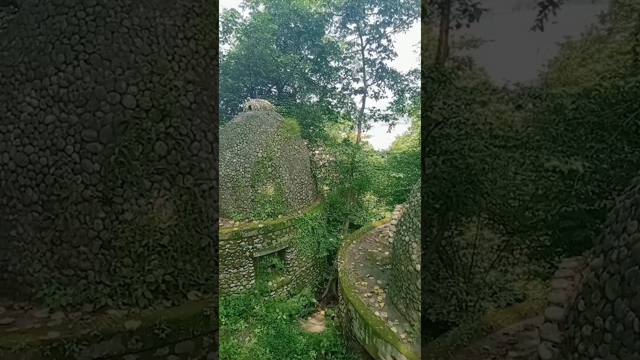 #beatlespodcast #rishikesh #beatleashram #status #tranding #trv_ltd #reels #shorts #shortvideo
