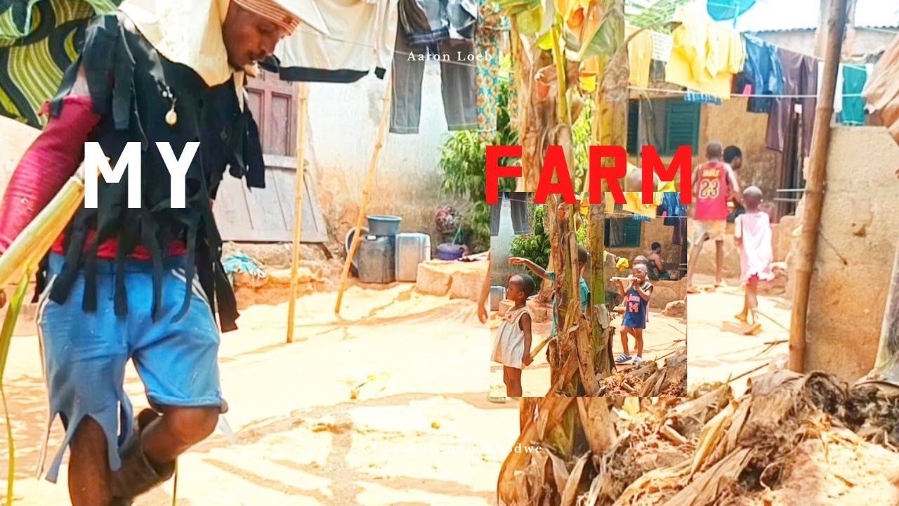 Good life in the village farm#harvesting from Africa farm