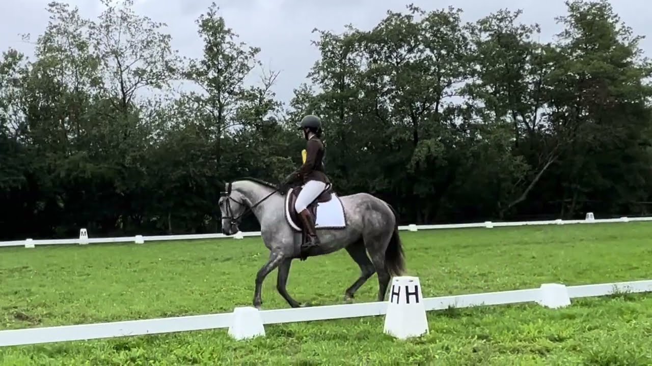 2023-08-06 CCE Altwiller Amat 3 / Dressage
