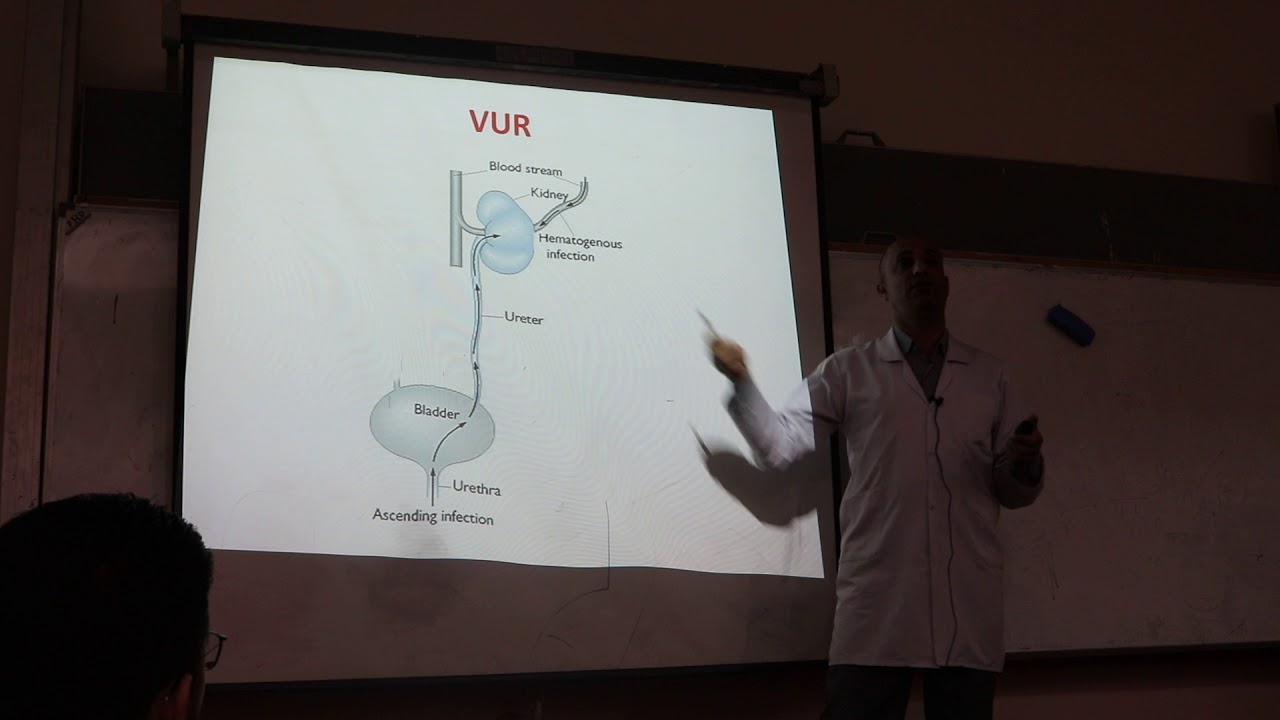 Urinary Tract Infection. By Dr. Dheyaa Jabbar