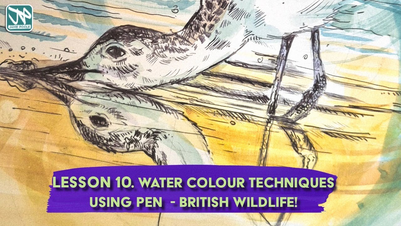 Lesson 9 Watercolour and Pen British Wildlife