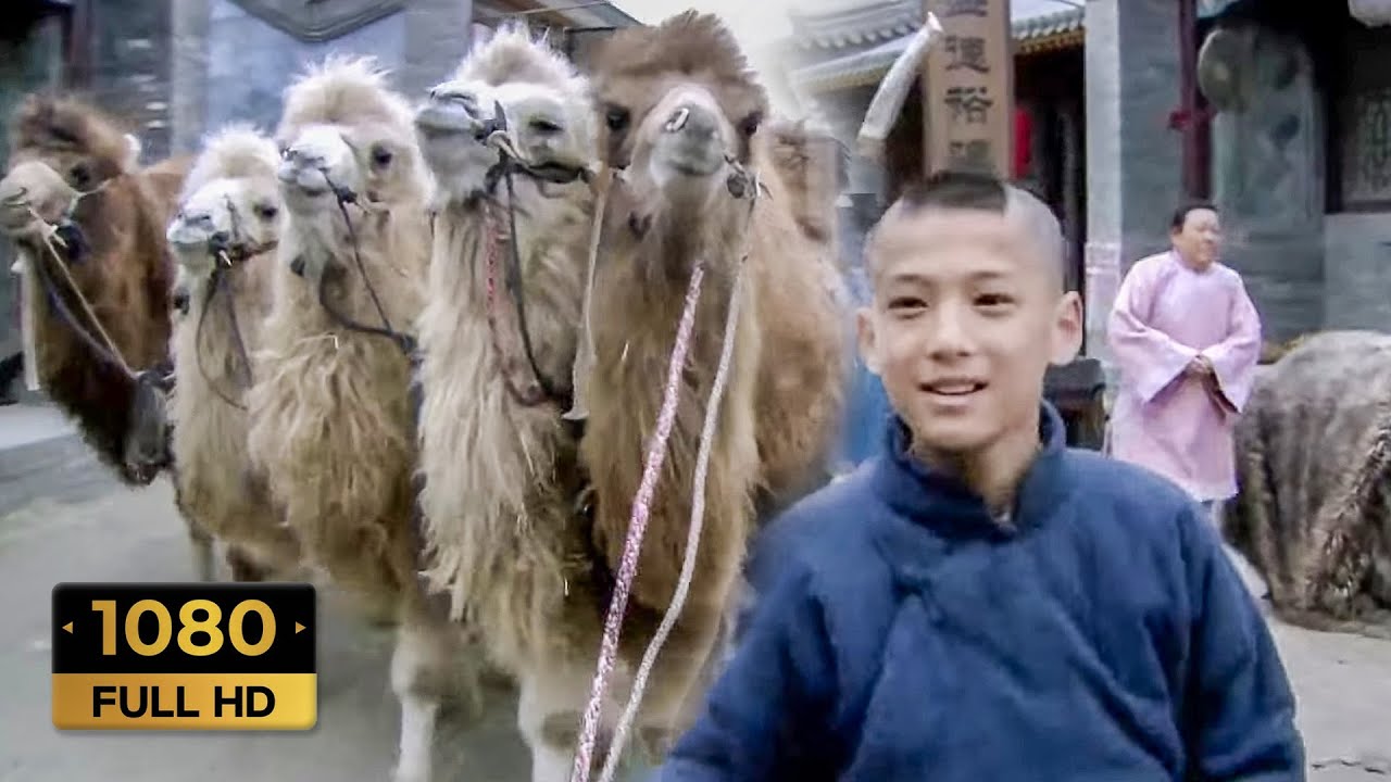 【古裝電影】富商看不起的7歲男孩竟是經商天才，一招贏下富商，得到5峰駱駝！#2024最新電影 #古裝電影 #中國電視劇