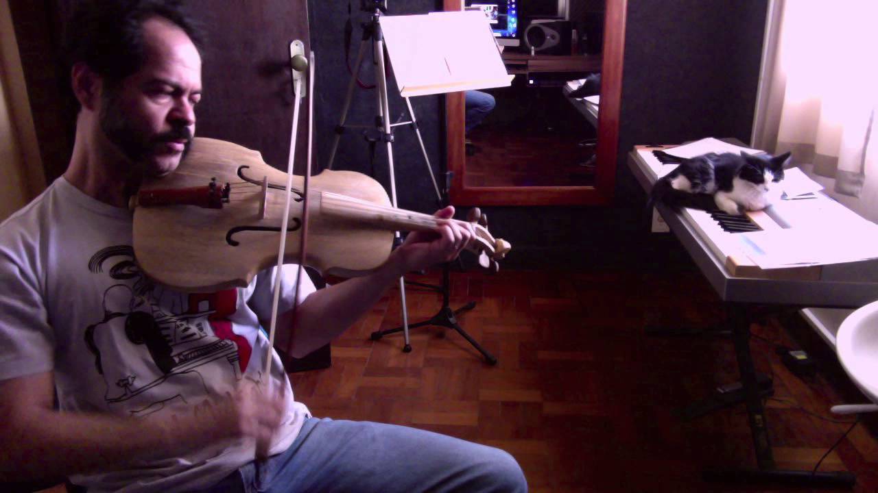 Bach, Prelude, Cello suite n. 1 ( arranged for Rabeca Brasileira)