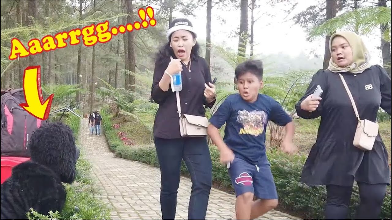 Monyet ini nakal sekali..!! Naughty monkey