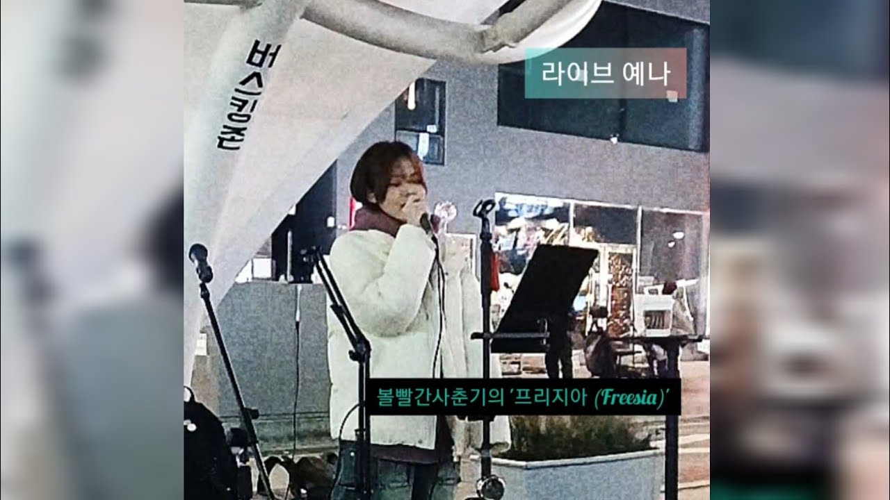프리지아 (Freesia) 볼빨간사춘기- 라이브 예나 #예나 #YENA #라이브예나 #해운대버스킹 #구남로 #구남로버스킹 #라이브칸 