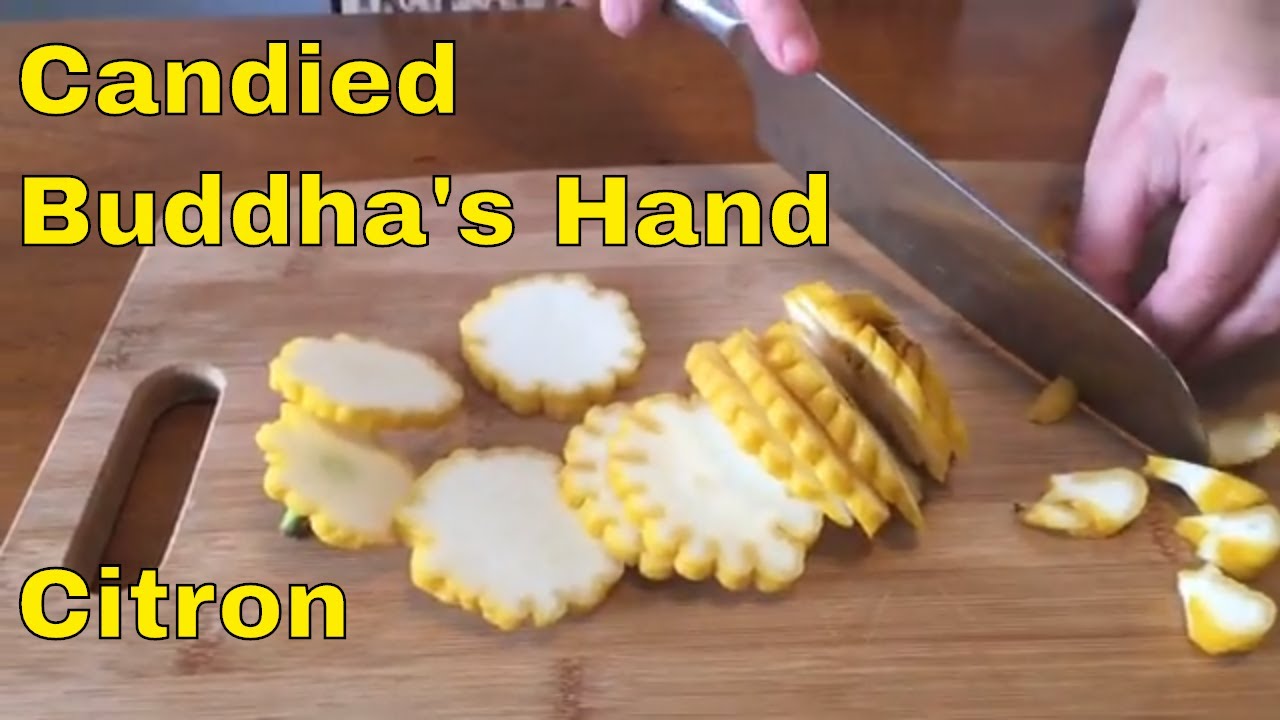 How We Made Our Own Candied Buddha Hand Citron (that we grew!)