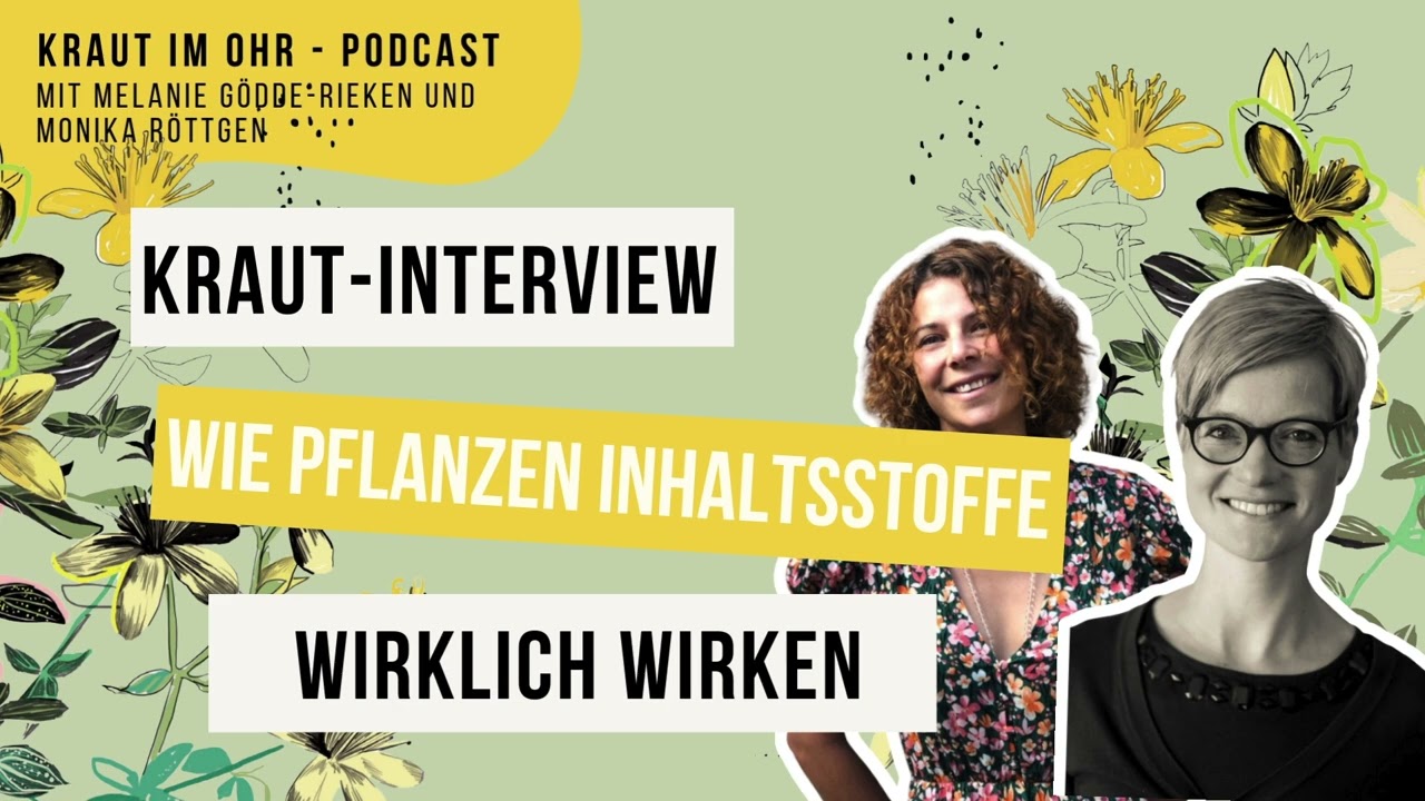 Wie Inhaltsstoffe der Wildpflanzen wirklich wirken. Kraut Interview mit Biologin Sigrid Thaler