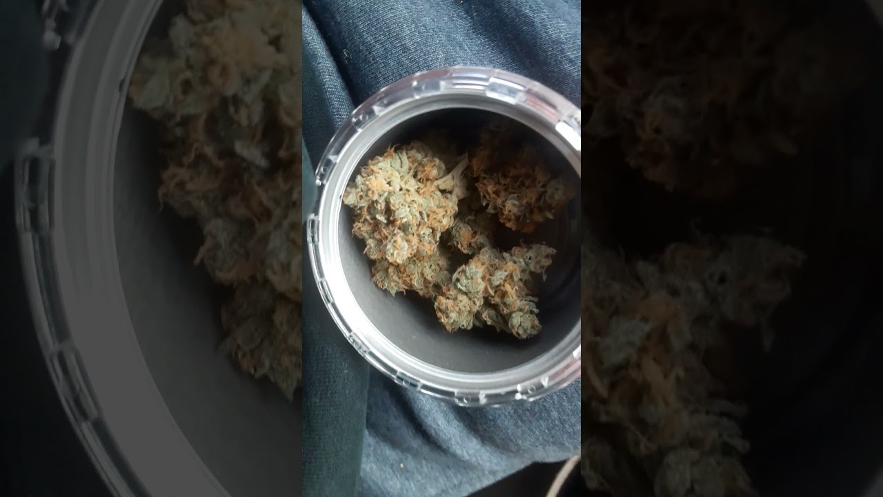 Sour Blueberry
