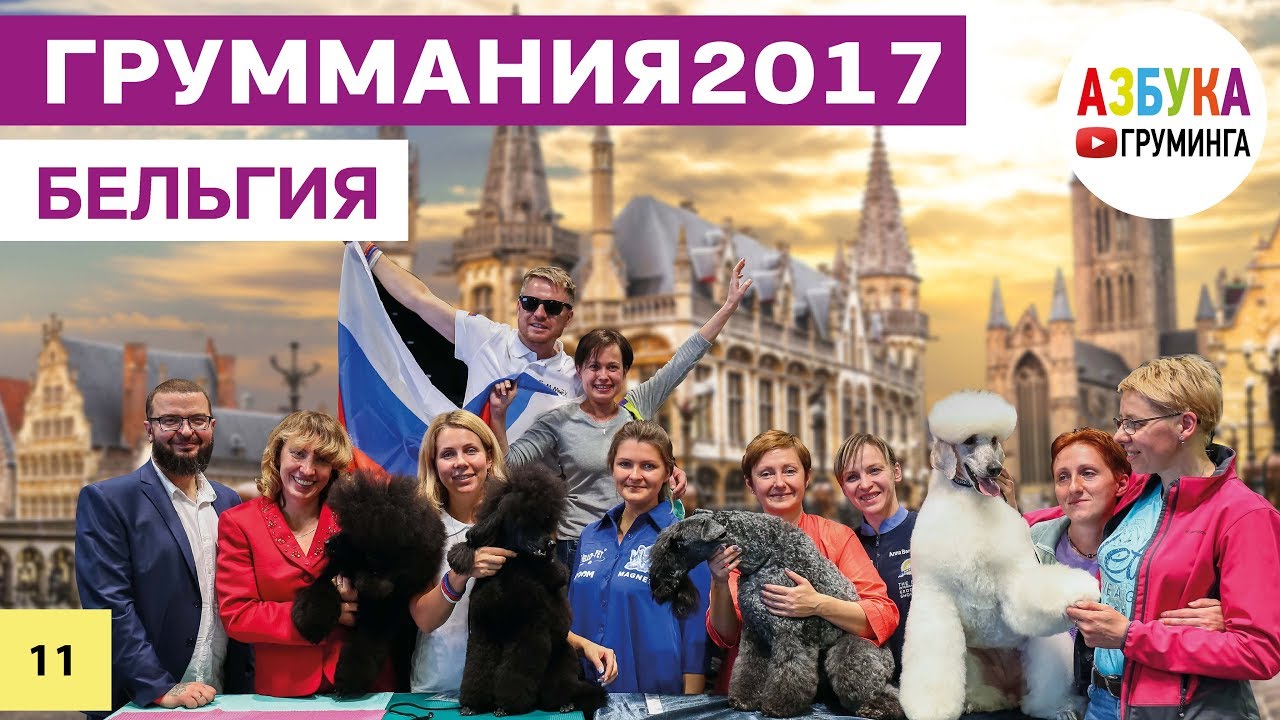 ГрумМания 2017 - поездка на Международный конкурс грумеров в Бельгию!