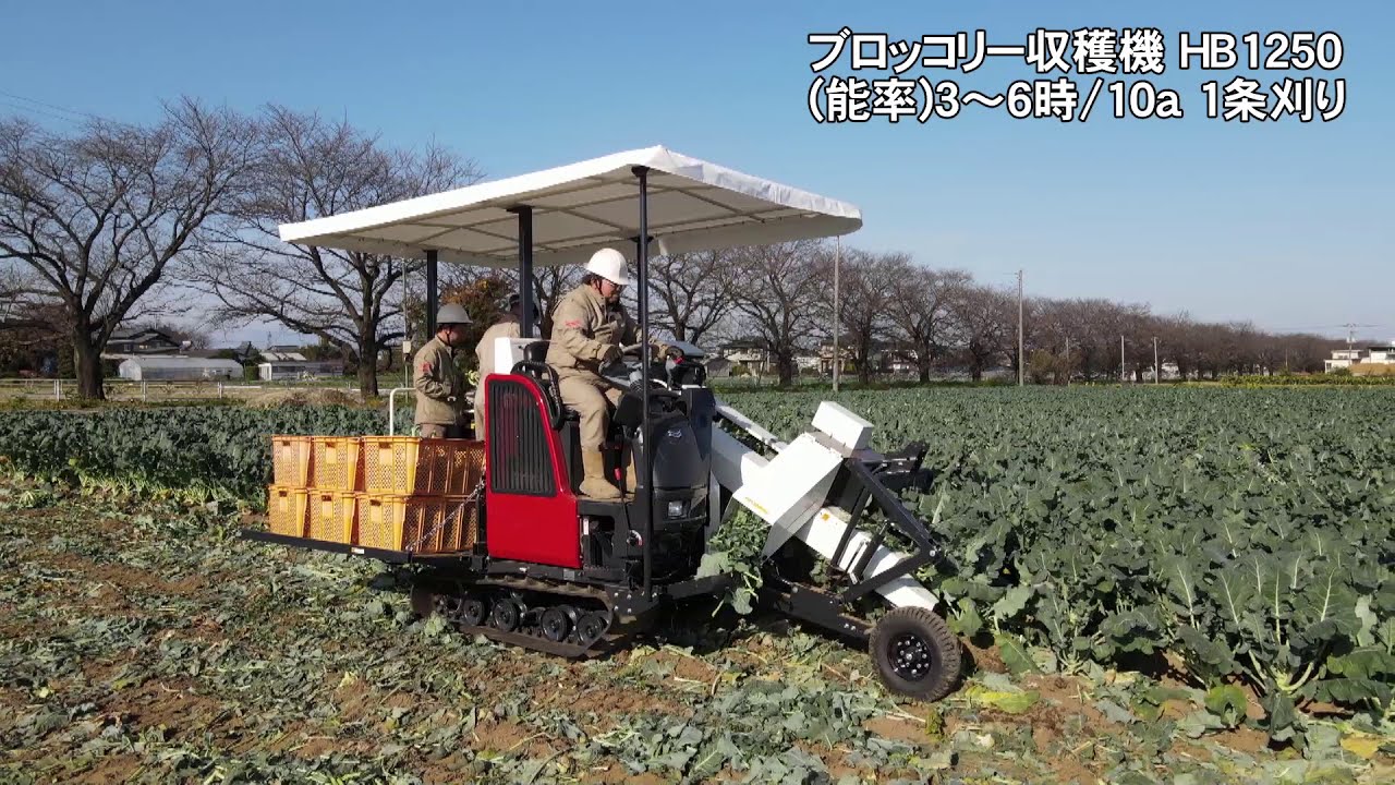 ブロッコリー収穫機　HB1250　プロモーション動画
