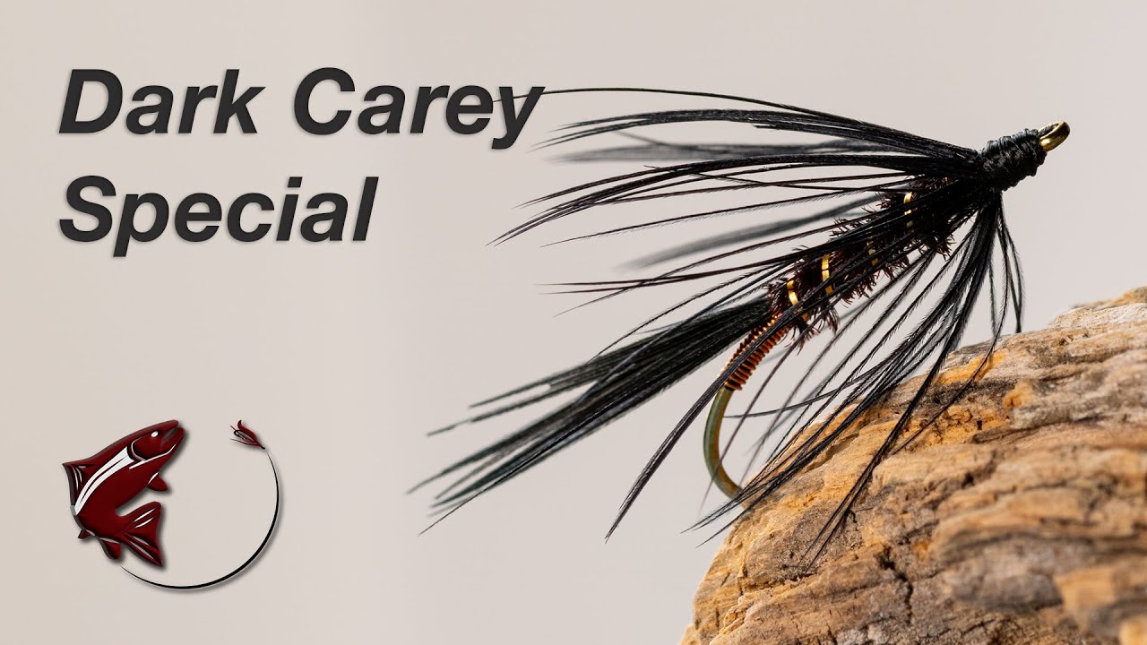 Dark Carey Special