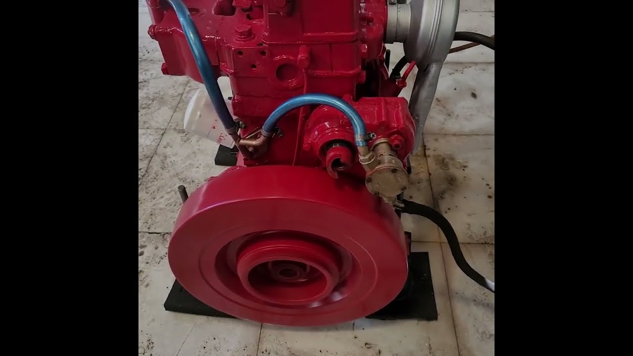 Bukh DV 24 raw water