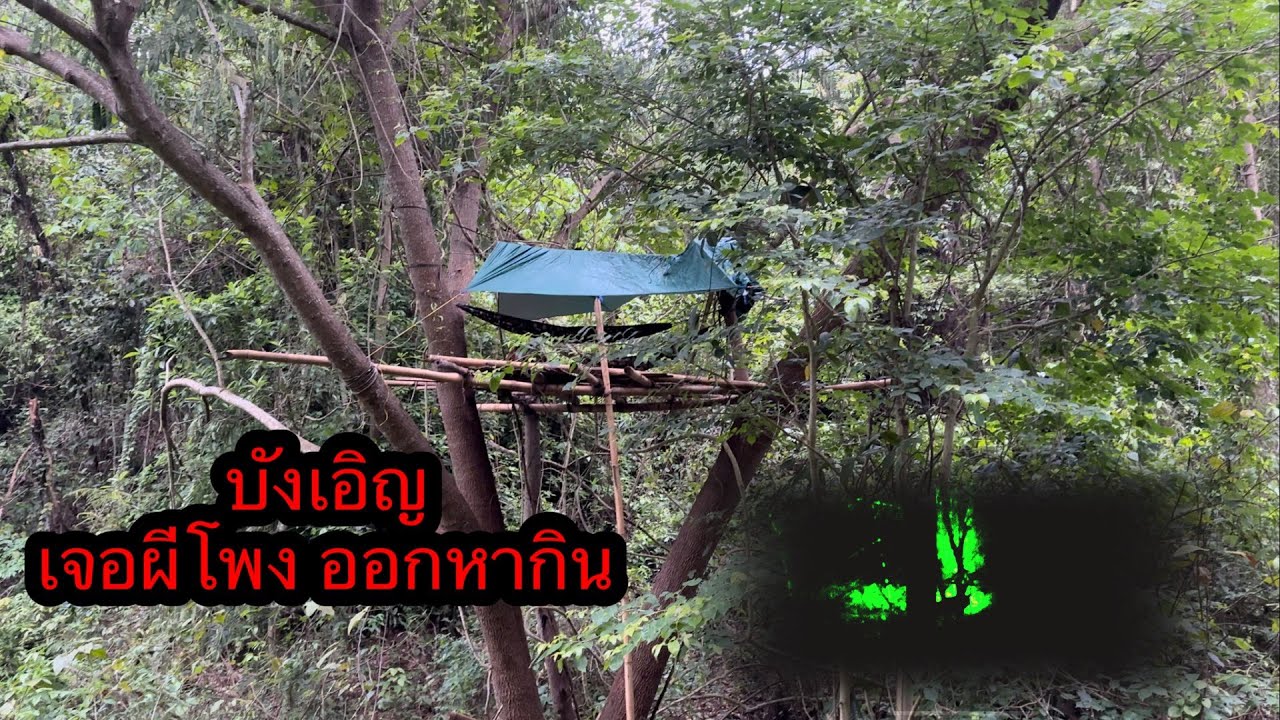นอนห้างร้างกลางป่า”ตกดึกมีผีโพงออกหากิน..เดินไปมาใต้ห้าง”ขนลุก???