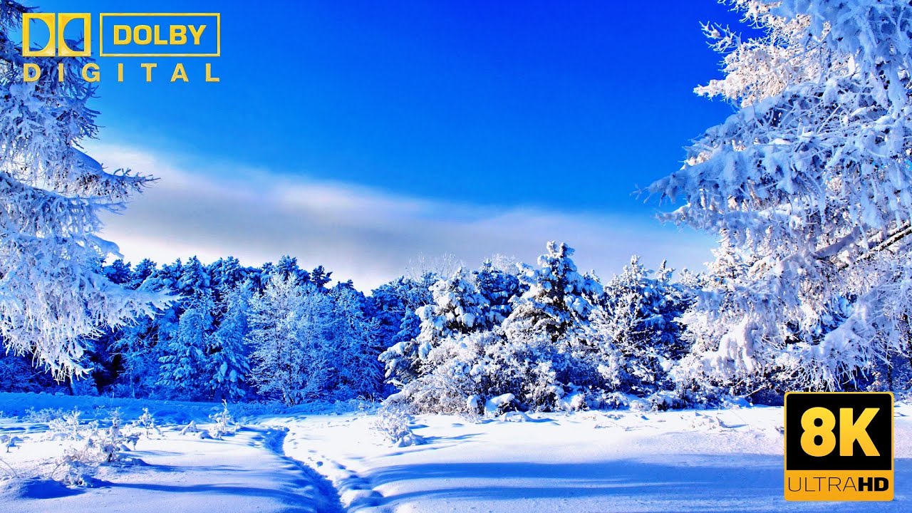 ❄️  Snowy Landscapes 8K HDR🌨️