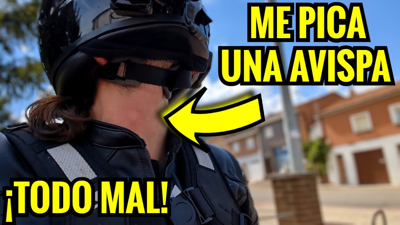 Picaduras de avispa, tormentas y carreteras rotas - LUGO y LEÓN en MOTO #EscapadaPorElNorte3
