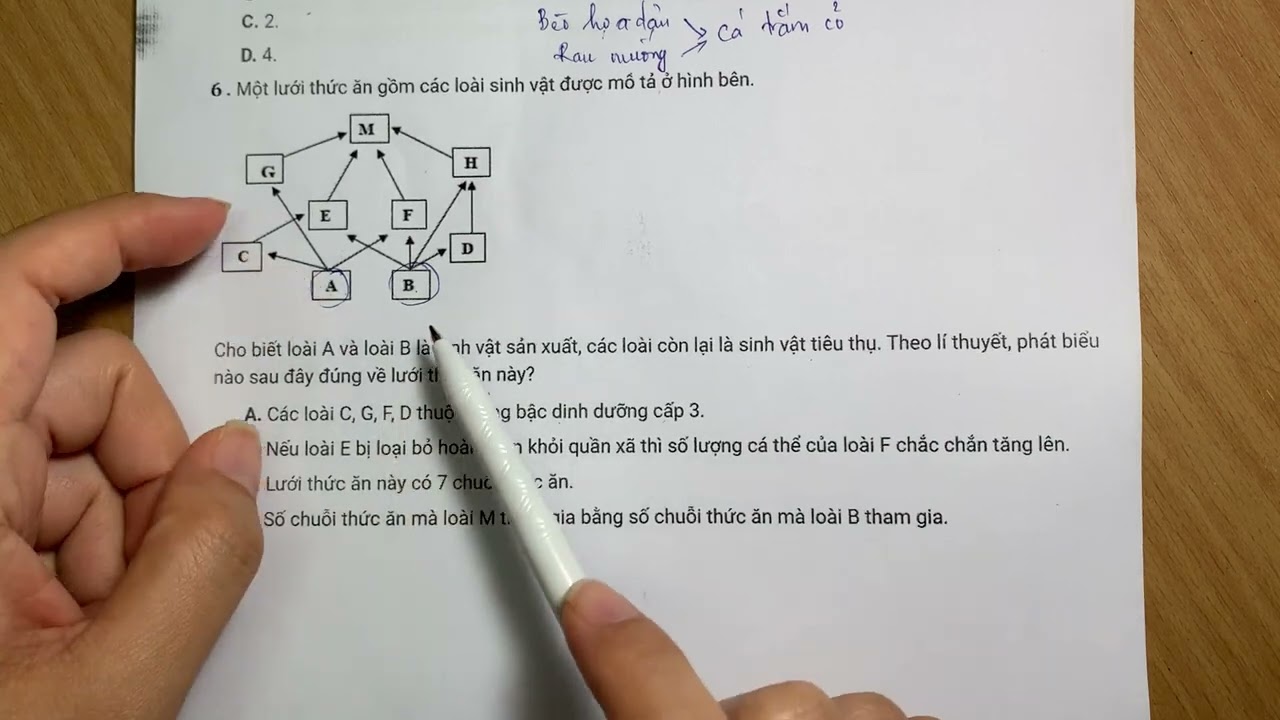 BÀI TẬP CHUỖI VÀ LƯỚI THỨC ĂN [SINH 12]