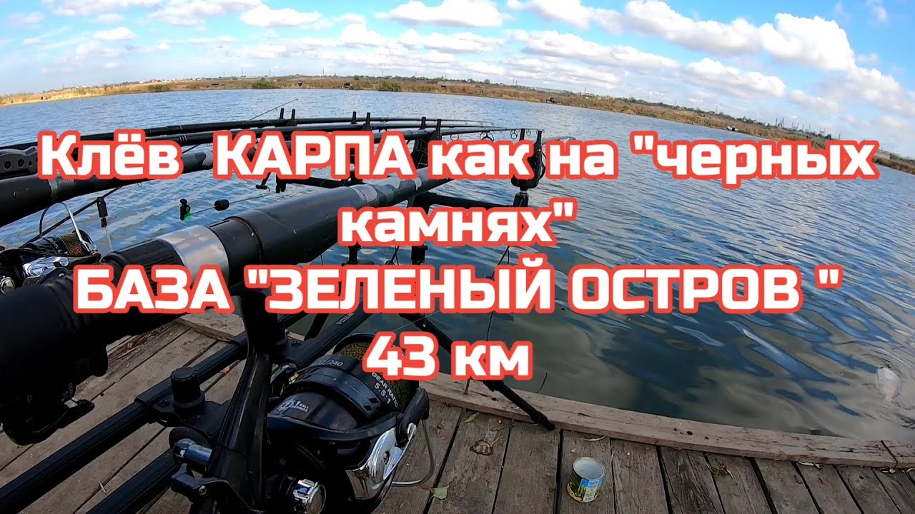 Клёв КАРПА ,как на 