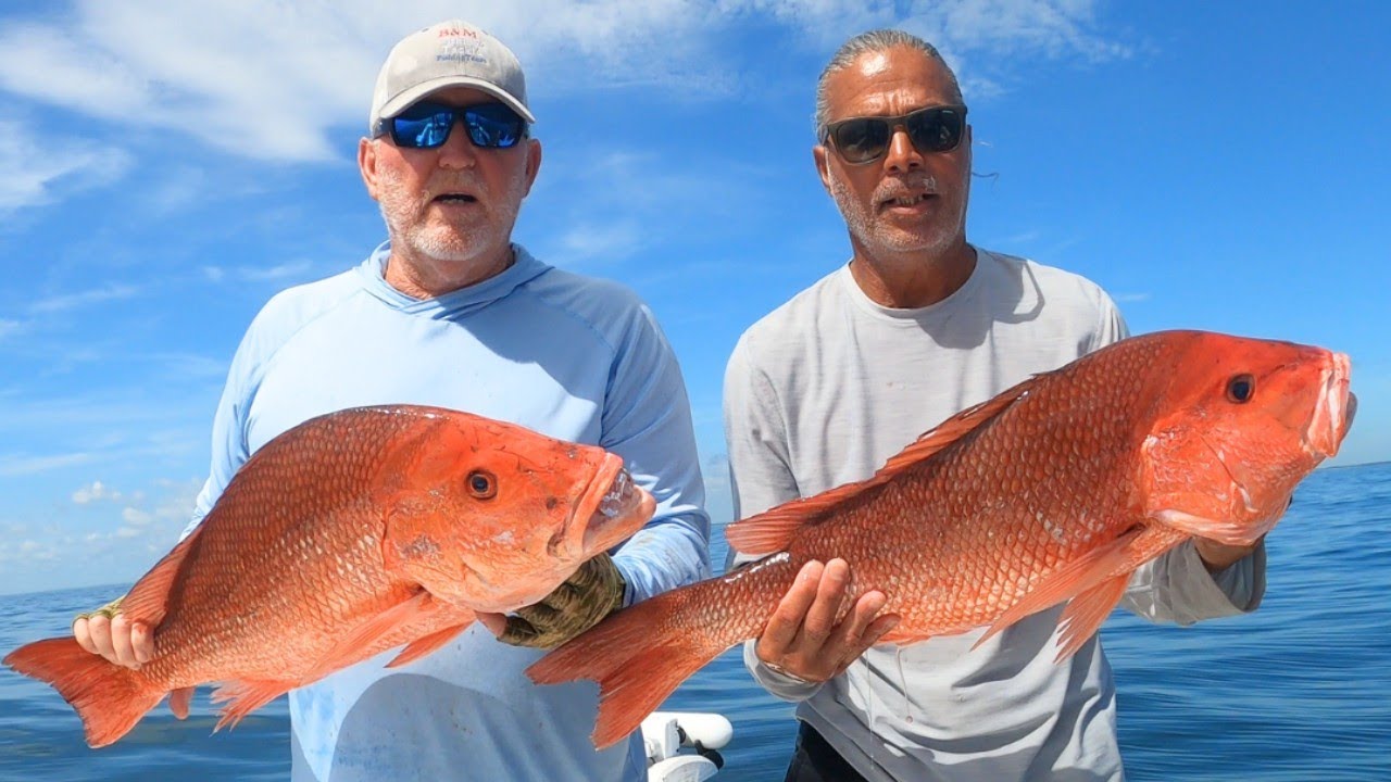 Red Snapper Madness in Jacksonville Florida