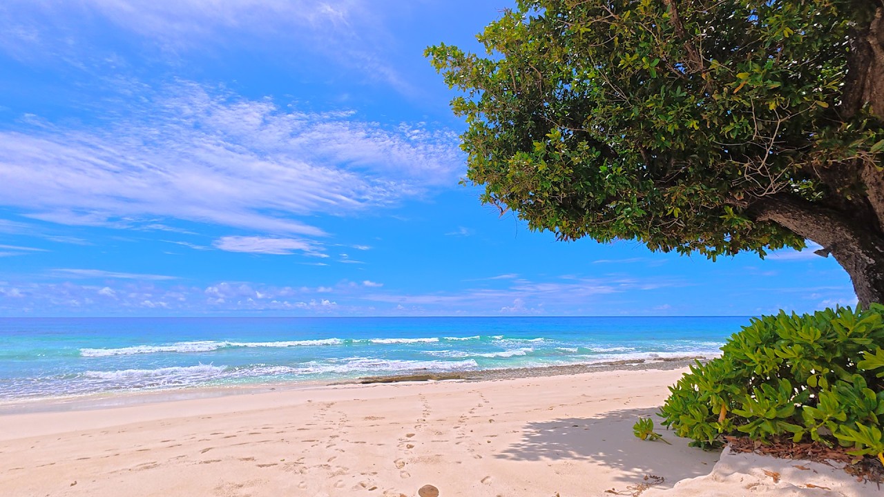 🏝 Best Ocean Sounds for Rest, Relaxation and Sleep