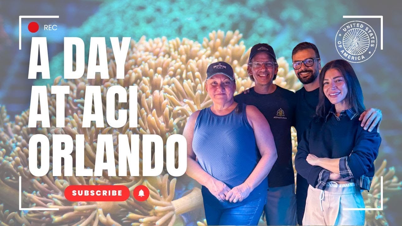 Reef Talks: Chris from ACI Florida on the Science and Passion of Coral Aquaculture