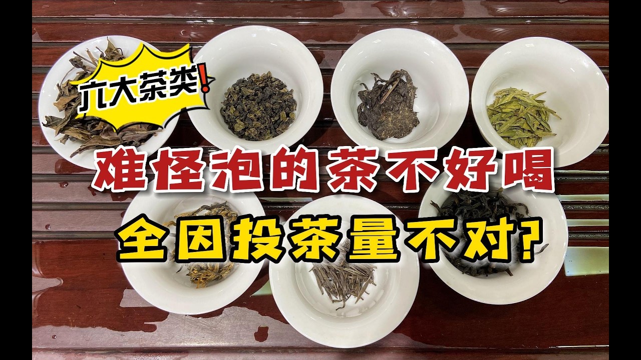 六大茶类应该投多少茶合适？还搞不懂这一点的人，难怪你泡不好茶#盖碗 #茶具 #茶叶 #泡茶 #喝茶 #六大茶类