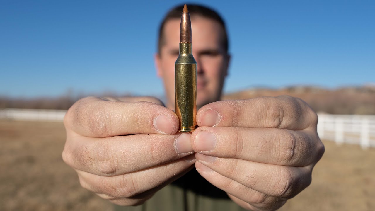 Патроны калибра 6,5: Creedmoor против PRC против Weatherby против Nosler