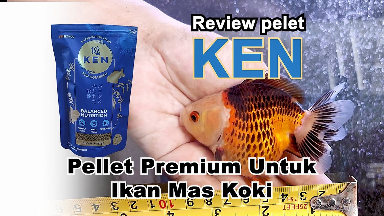 Pellet Ken, Pellet premium untuk ikan mas koki