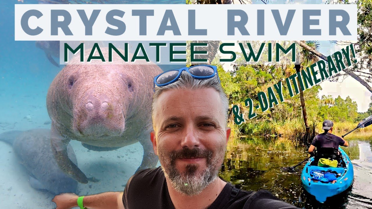 The Perfect 2-Day Trip to Crystal River, Florida: Manatees, Wildlife, and More!