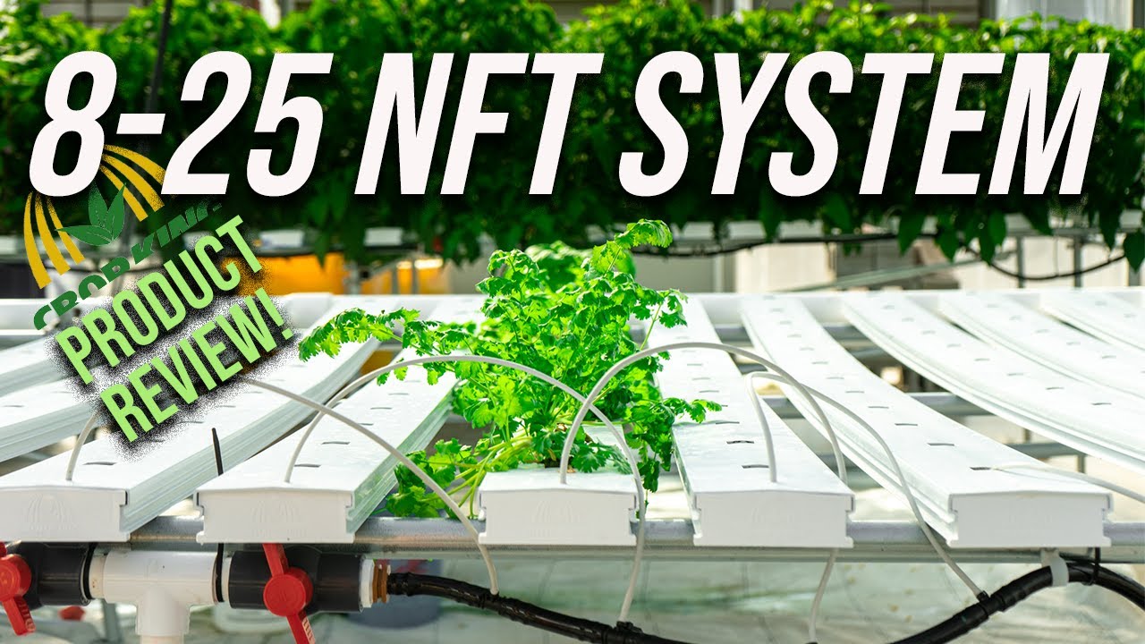 Cropking 8-25 NFT System: Should you be using it? (Product review!)