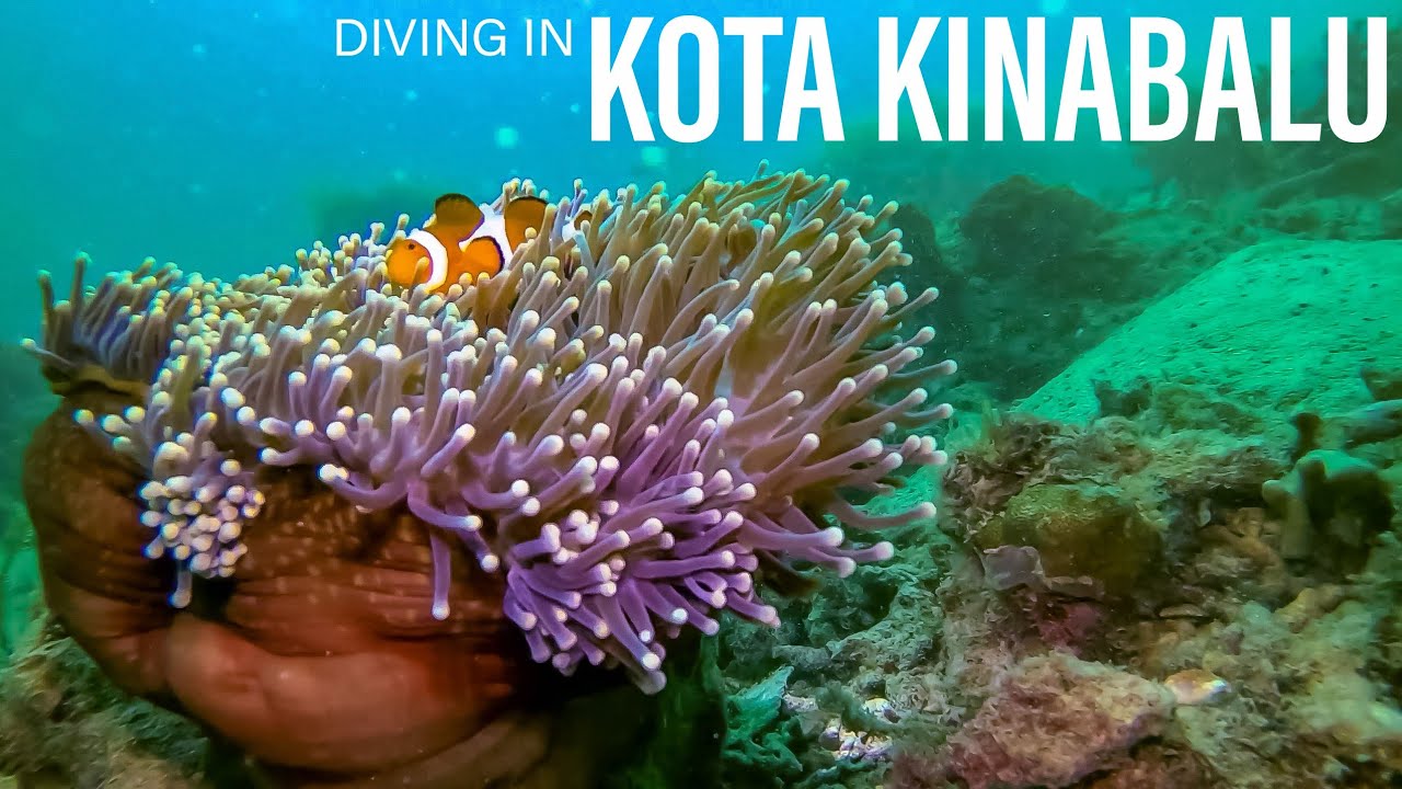 Diving In Kota Kinabalu, Sabah, Malaysia