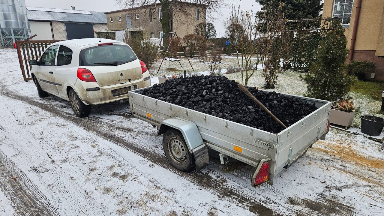 Nawalone jest || Nowe cielaki