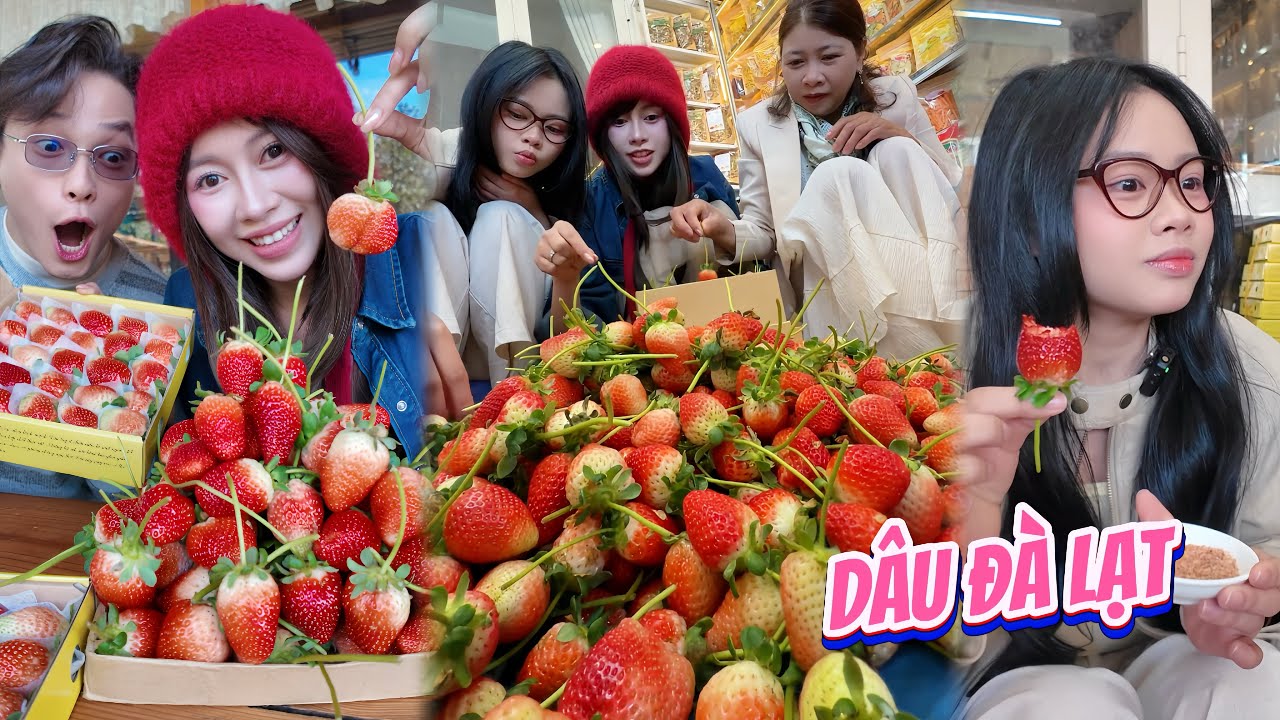 Lên Đà Lạt Ăn Dâu Tươi Nó Đã !!!