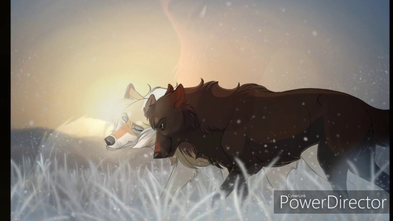Anime Wolves-Brother