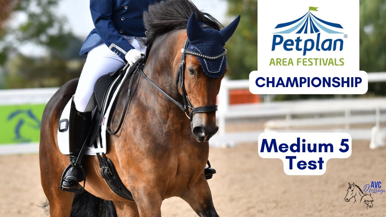 Medium 5 Dressage Test -  Petplan Area Festival Championships