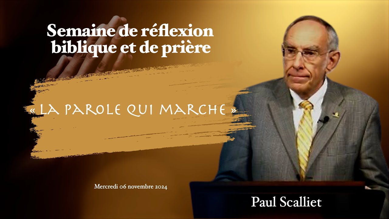 SDP Mercredi 06 novembre 2024 - Paul Scalliet 