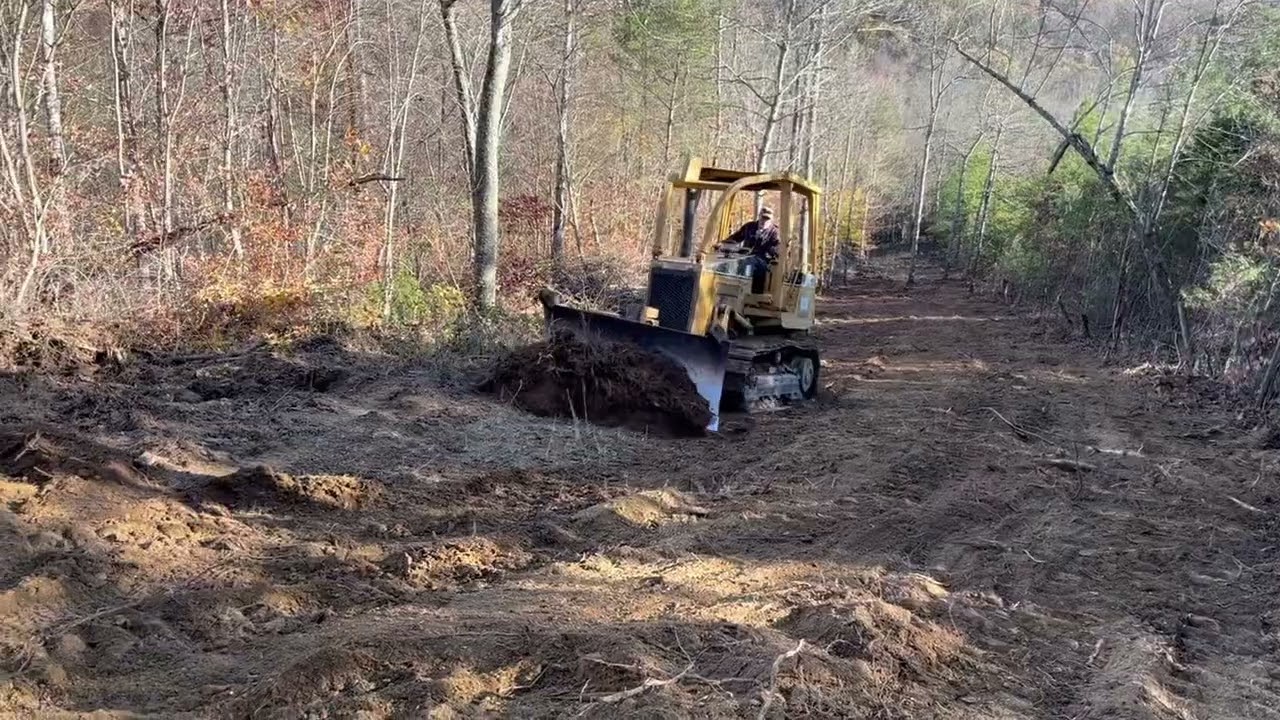 Clearing Along A Fence
