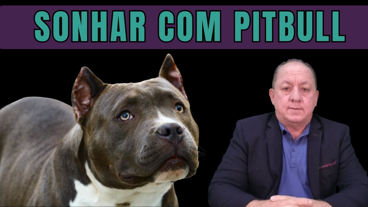 O QUE SIGNIFICA SONHAR COM PITBULL