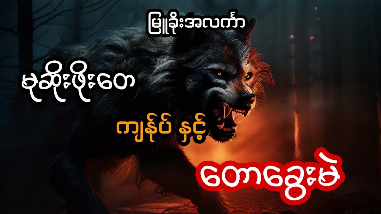 မုဆိုးဖိုးတေ ကျန်ုပ် နှင့် တောခွေးမဲ (အစအဆုံး)