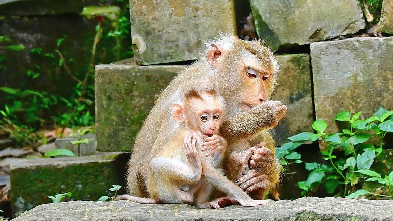 The Good Mother, Take Care of Her Baby Leo