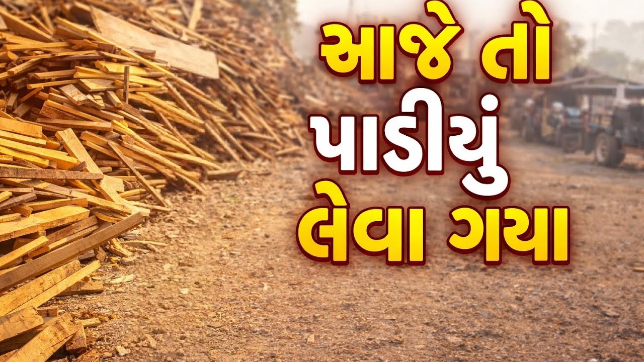 આજે તો લાકડા નું પાટિયું લેવા ગયા આવા જ નવા ગુજરાતી વીડિયા જોવા માટે સબસ્ક્રાઈબ કરજો..