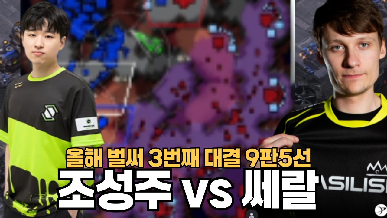 올해 벌써 3번째 대결 9판5선 조성주 vs 쎄랄