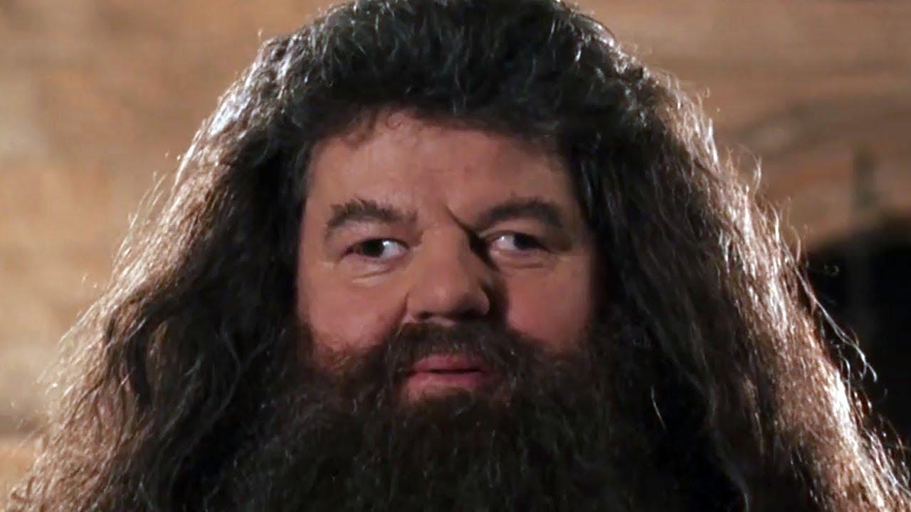 YTP: Mad Hagrid