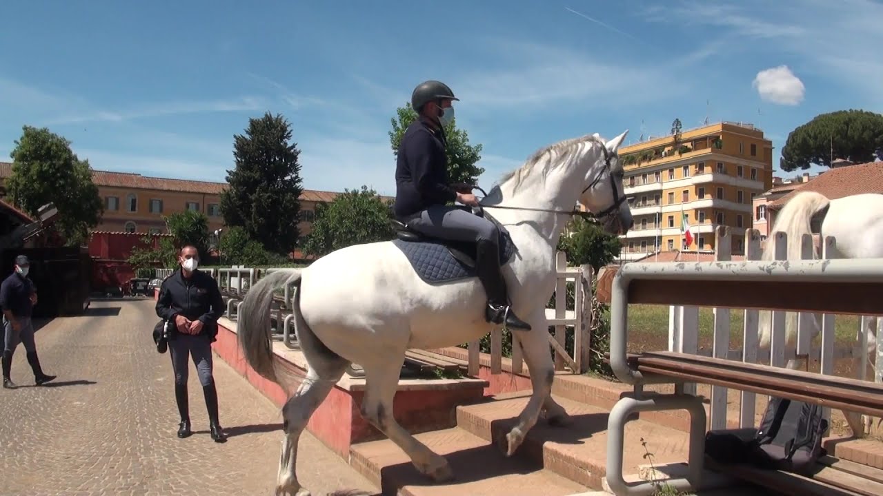 Schieramento Reparto a cavallo della Polizia di Stato